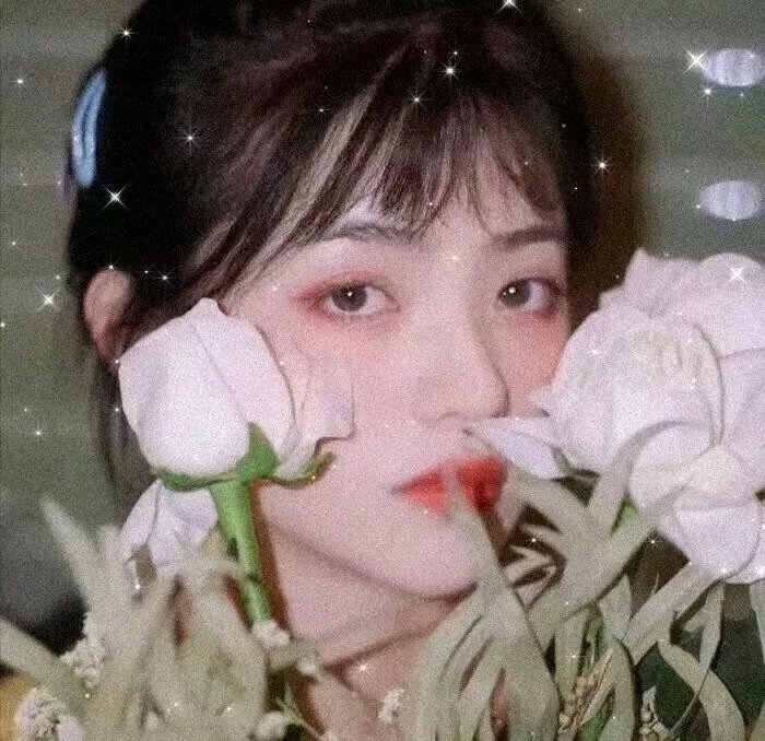 南茅北马