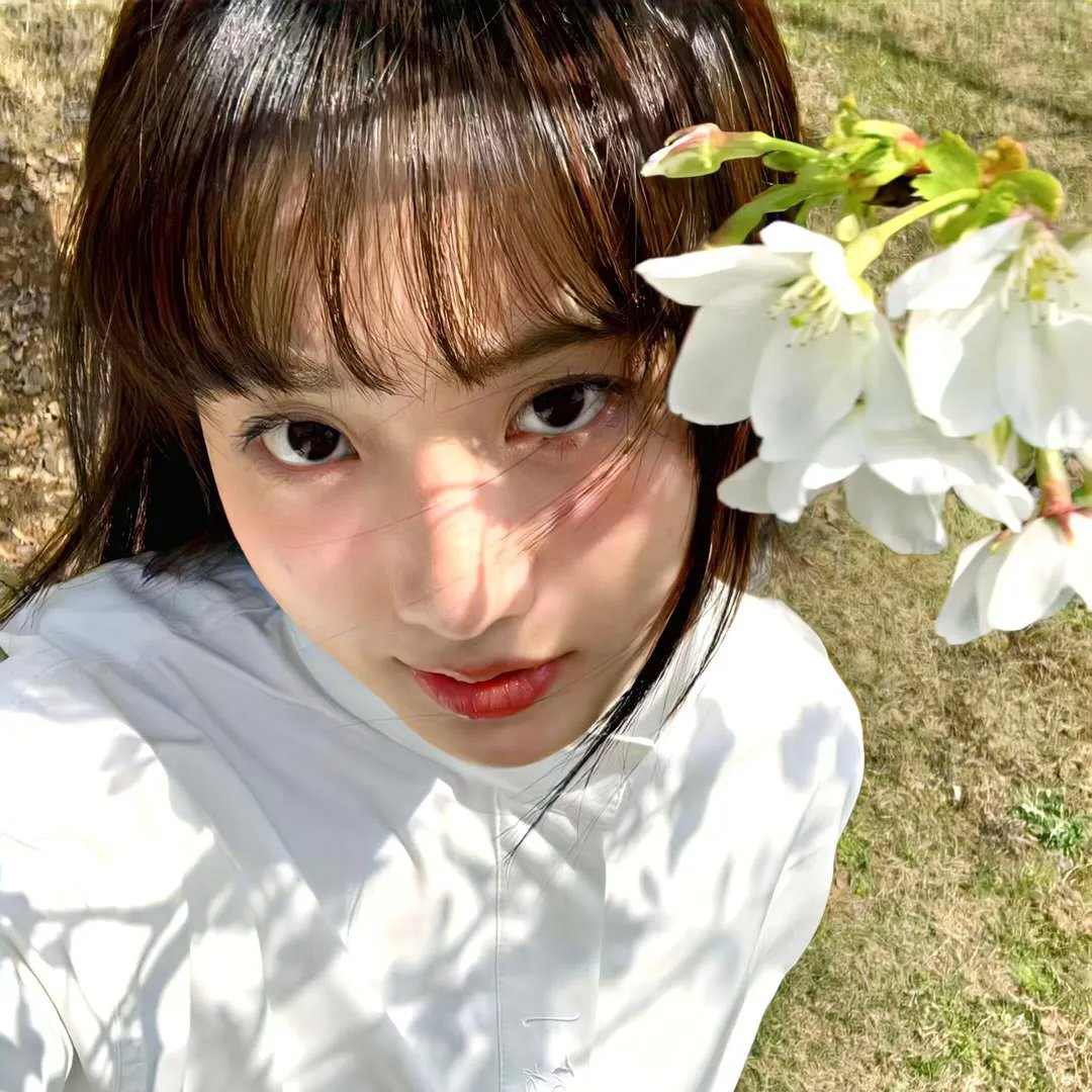苍蝇王